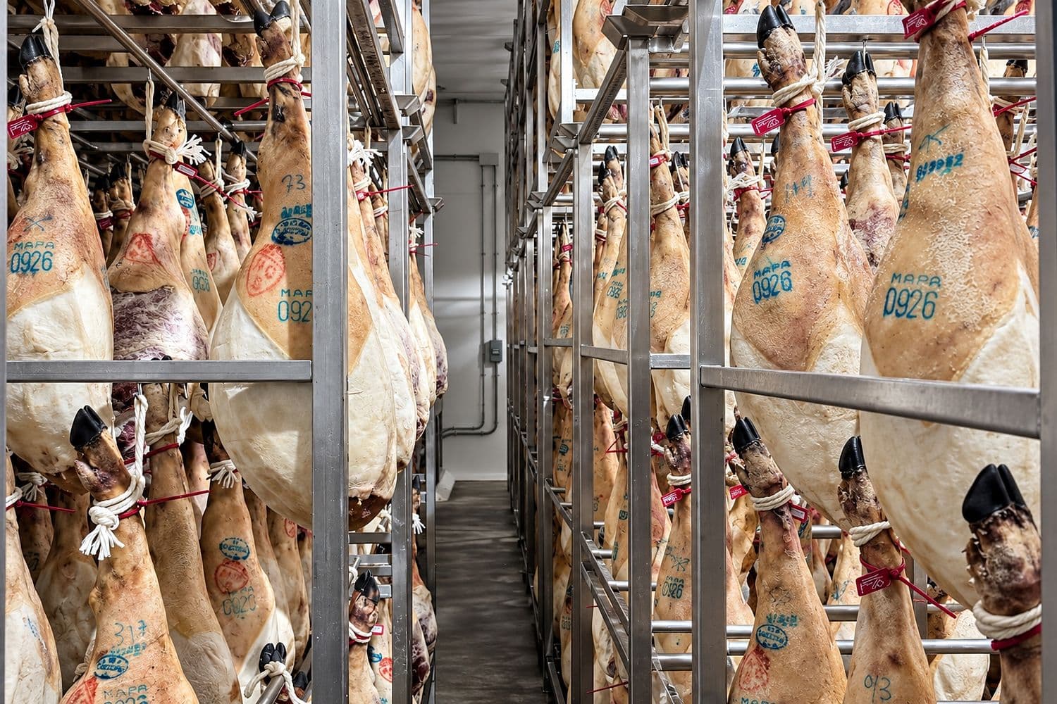 Pasillo de la cámara de asentamiento con jamones colgados a ambos lados