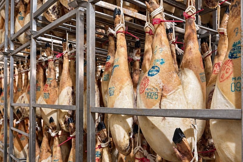 Detalle de jamones con su brida y su sello en la bodega