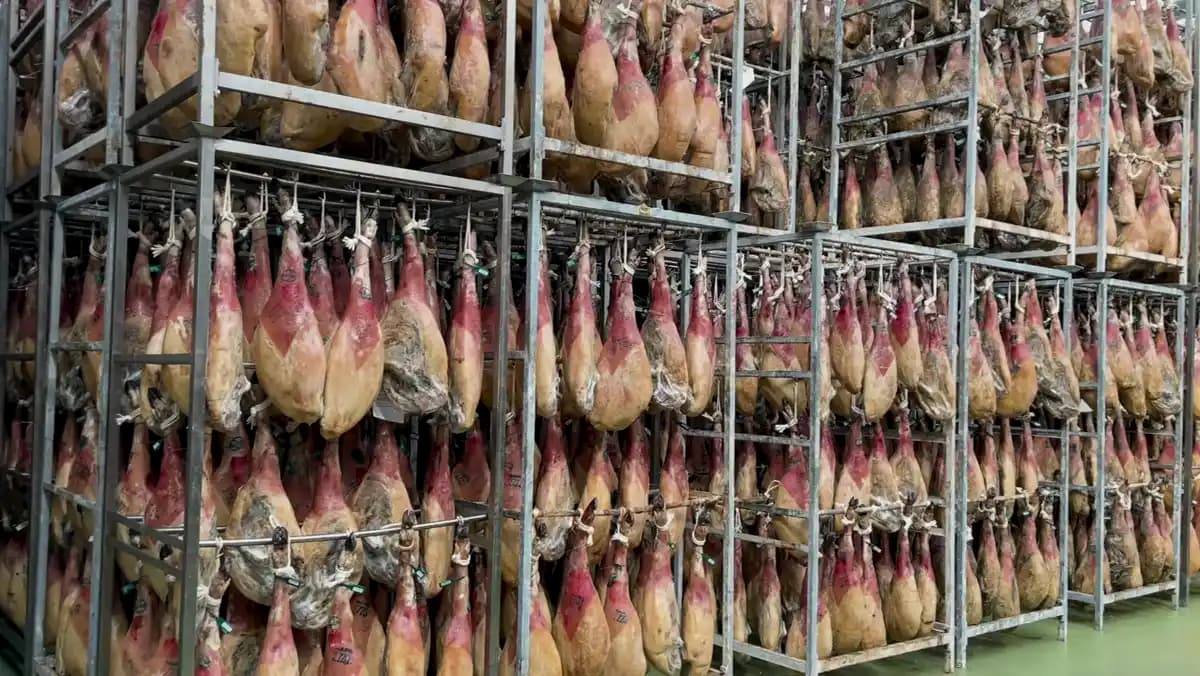 Jamones curándose en las estanterías del secadero de Castanoble en Riego de la Vega, León