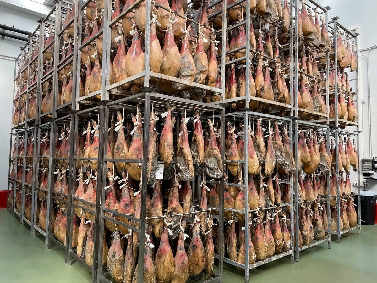 Hams hanging on the racks of our curing house during curing.